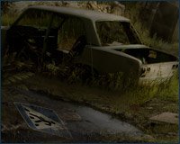 Каким будет проект Survarium?